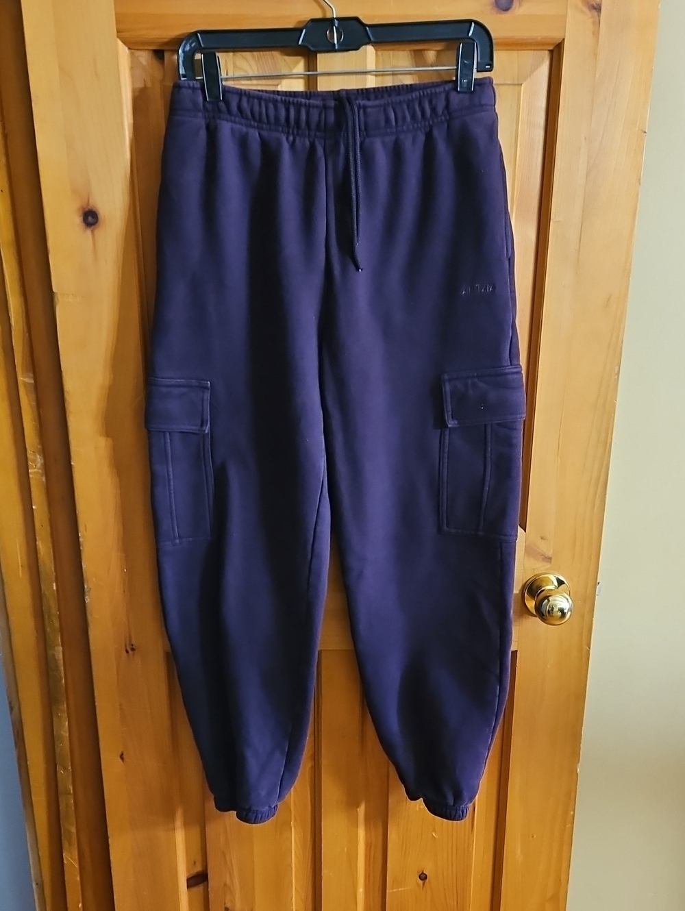 Aritzia Dark Purple Cargo Joggers